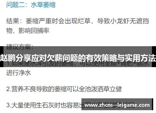 赵鹏分享应对欠薪问题的有效策略与实用方法