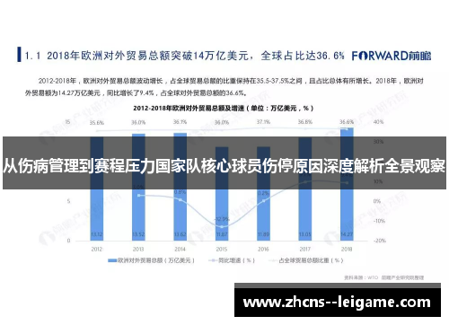 从伤病管理到赛程压力国家队核心球员伤停原因深度解析全景观察