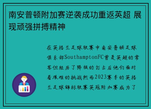 南安普顿附加赛逆袭成功重返英超 展现顽强拼搏精神