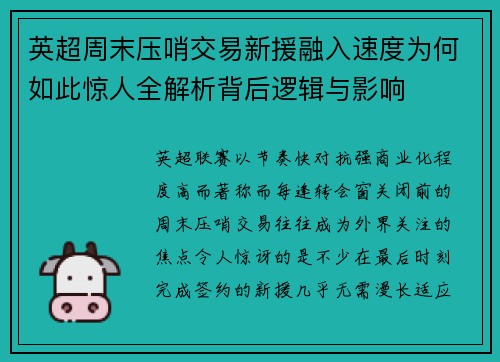 英超周末压哨交易新援融入速度为何如此惊人全解析背后逻辑与影响 英超周末压哨交易新援融入速度为何如此惊人全解析背后逻辑与影响